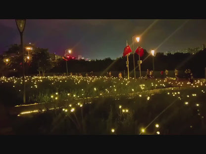 Moon+: Guirlande Lumineuse Solaire étanche pour Extérieur – Ambiance Magique - feu d'artifice